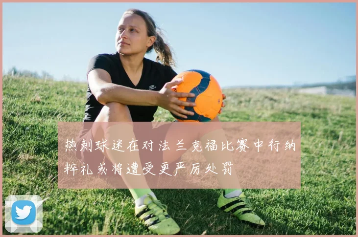 热刺球迷在对法兰克福比赛中行纳粹礼或将遭受更严厉处罚
