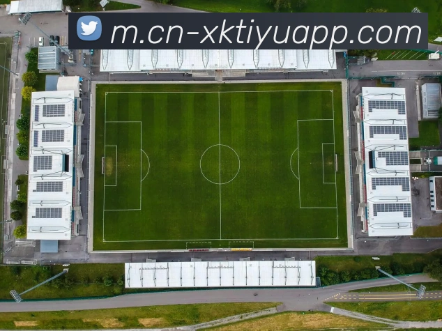 App Interface Preview