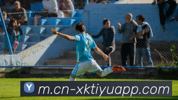 星空体育APP 封面图